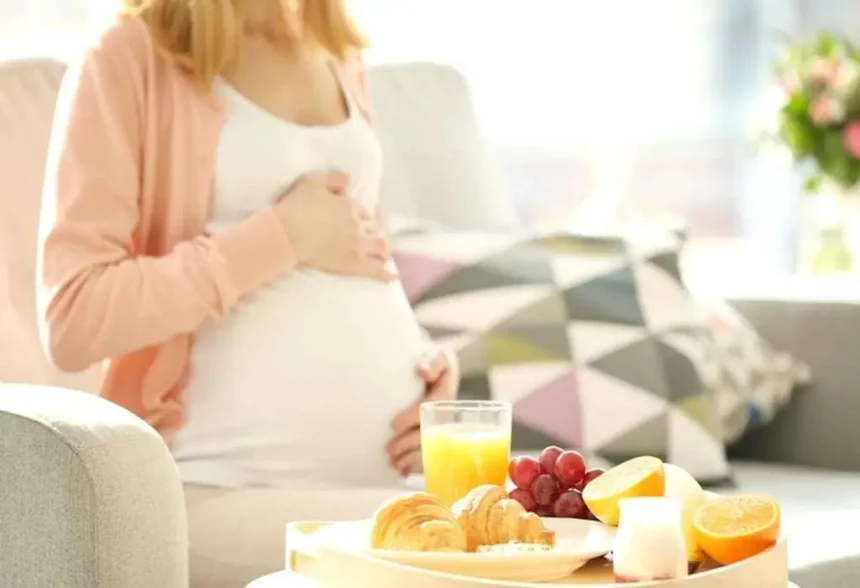 கர்ப்பிணி பெண்களுக்கு அரசு நலத்திட்டங்கள் பற்றிய தகவல்