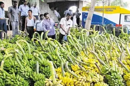 ரசாயனத்தில் பழுத்த வாழைப்பழங்களை கண்டறியும் வழிமுறைகள் குறித்த தகவல்