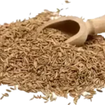சமையலில் பயன்படுத்தப்படும் சீரகம்