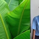 பிளாஸ்டிக் கழிவு பிரச்சனைக்கு தீர்வு காணும் தமிழக சிறுவன்