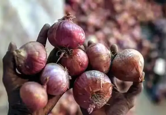 தமிழக ரேஷன் கடைகளில் வெங்காயம் விற்பனை