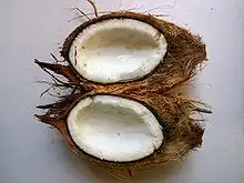 பச்சை தேங்காய் துண்டுகள் மற்றும் முழு தேங்காய்