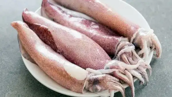 கணவாய் மீன் மற்றும் அதன் சத்துக்கள் பற்றிய தகவல்