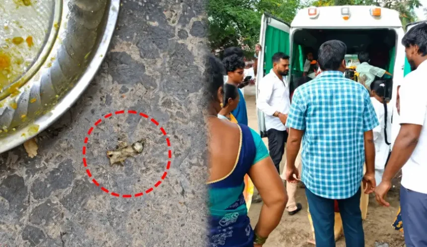 திருவள்ளூர் அரசு பள்ளி மாணவர்கள் மருத்துவமனையில் சிகிச்சை பெறுதல்