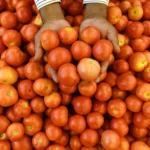தக்காளி பழங்கள் நிறைந்த ஒரு பெட்டி