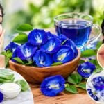 நீல நிற சங்குப்பூக்கள்