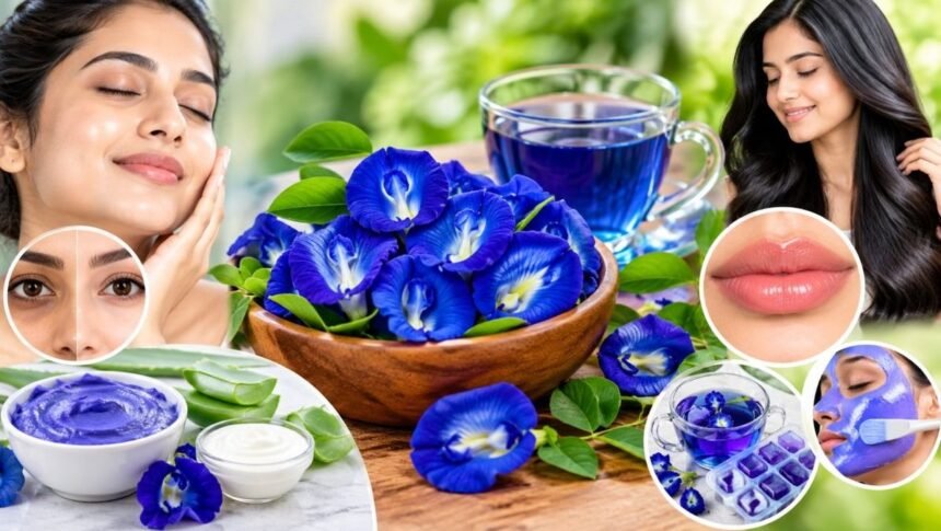 நீல நிற சங்குப்பூக்கள்