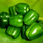 பல்வேறு வண்ணங்களில் உள்ள குடைமிளகாய்கள்