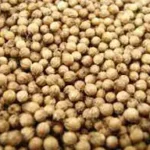 கொத்தமல்லி விதைகள் மற்றும் தண்ணீர்