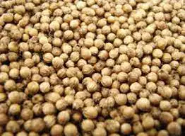 கொத்தமல்லி விதைகள் மற்றும் தண்ணீர்
