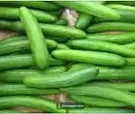 வெள்ளரிக்காய் சாறு தடவப்பட்ட கூந்தல்