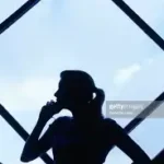 ஆரோக்கியமான ஆளி விதைகள் ஒரு கிண்ணத்தில்