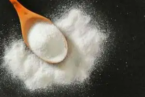 ஆரோக்கியமான மக்காச்சோளக் கதிர்கள்
